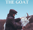 Zlateh the Goat