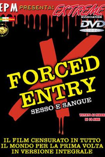 Poster de Filme Forced Entry (2002)
