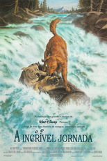 A Incrível Jornada (Homeward Bound - The Incredible Journey)