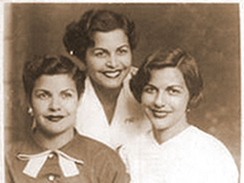 Foto 1 de Codename: Butterflies