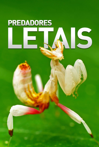 Poster 1 de Série Predadores Letais (2010)