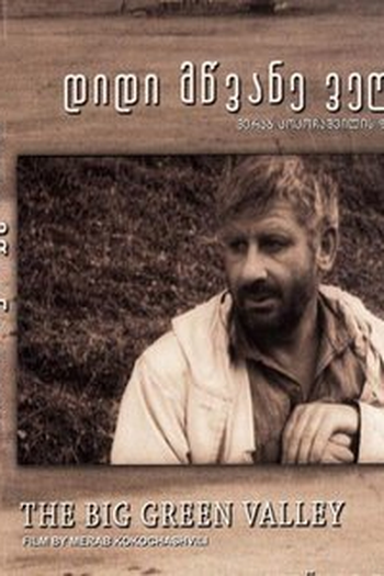 Poster de Filme O Grande Vale Verde (1967)