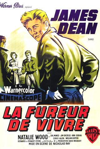 Poster 8 de Filme Juventude Transviada (1955)