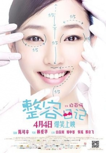 The Truth About Beauty (整容日记)