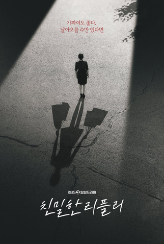 Poster 1 de Série A Graceful Liar (2025)