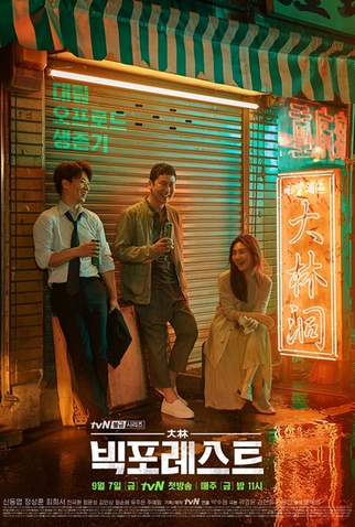 Poster 4 de Série Big Forest (2018)