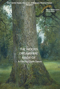 The Woods Dreams Are Made Of - Poster / Capa / Cartaz - Oficial 3