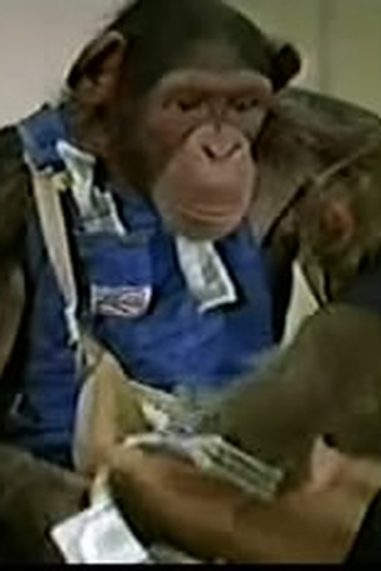 Poster de Episódio Trained for Trouble (1982)