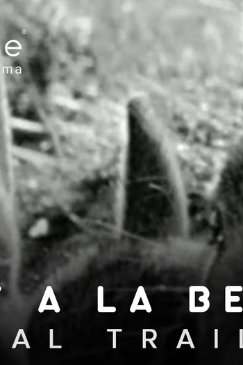  de Curta Joanna (2013)