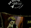 Sin sostén