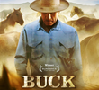 Buck, O Encantador de Cavalos