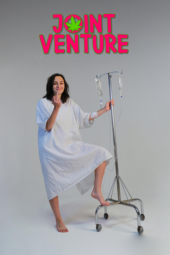 Poster de Série Joint Venture (2021)