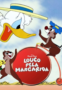 Louco pela Margarida (Crazy Over Daisy)