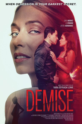 Poster de Filme Demise (2024)