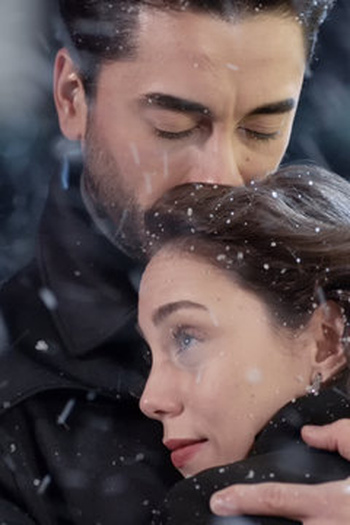 Poster de Episódio 26. Bölüm (2017)