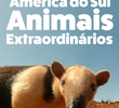 América do Sul: Animais Extraordinários