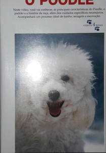 Vídeos 4 Patas: O Poodle (Vídeos 4 Patas: O Poodle)