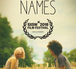 Pet Names