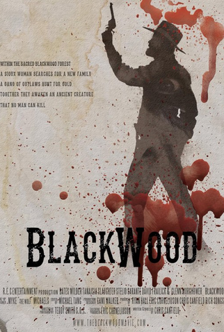Poster 1 de Filme Black Wood (2021)