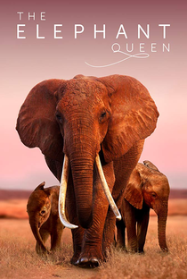 The Elephant Queen - Poster / Capa / Cartaz - Oficial 1