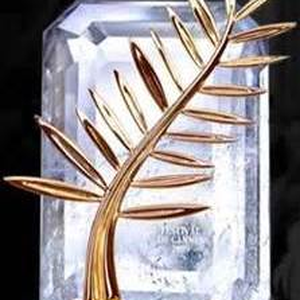 Foto de perfil de Sérgio Evans