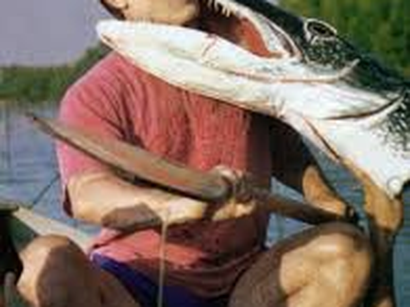 Foto 1 de Psycho Pike