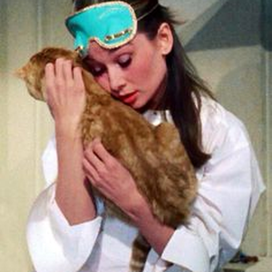 Foto de perfil de Lenita