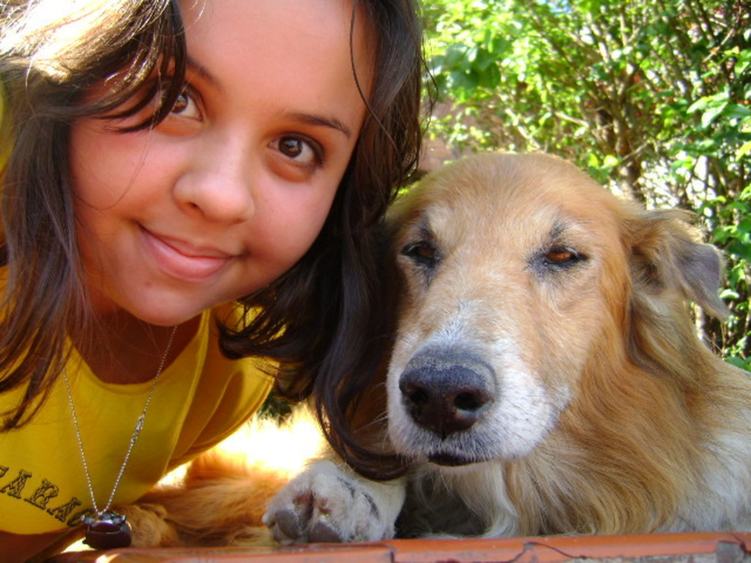 Bia - Foto 2