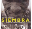 Siembra