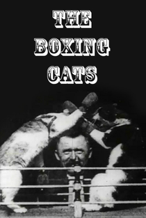 The Boxing Cats (Prof. Welton's) - Poster / Capa / Cartaz - Oficial 1