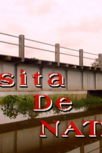 Poster de Filme Visita de Natal (1996)