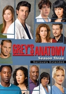Grey's Anatomy (3ª Temporada) (Grey's Anatomy (Season 3))
