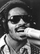 Stevie Wonder