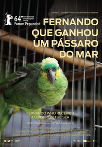 Fernando que Ganhou um Pássaro do Mar (Fernando que Ganhou um Pássaro do Mar)