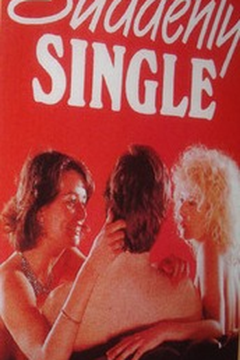 Poster de Filme Suddenly Single (1971)