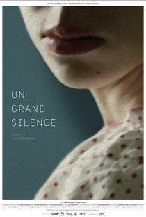 Um Grande Silêncio - Poster / Capa / Cartaz - Oficial 1