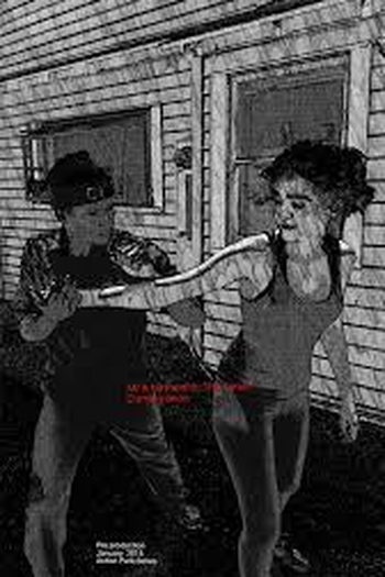 Poster de Série Mr and Mrs Smit (2017)