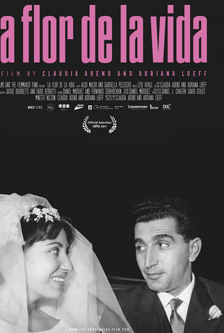 Poster 1 de Filme A Flor da Vida (2017)