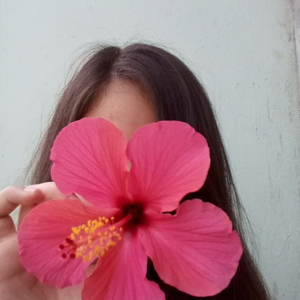 Foto de perfil de Nicolle