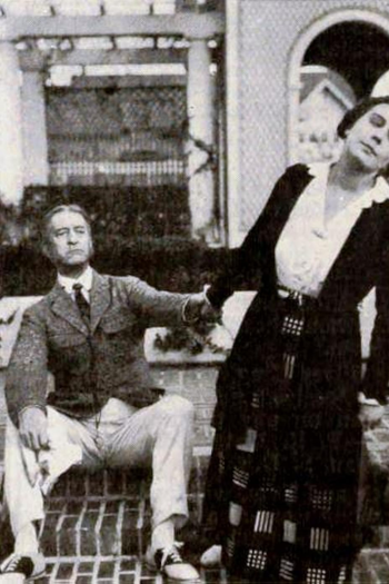 Poster de Filme The Homebreaker (1919)