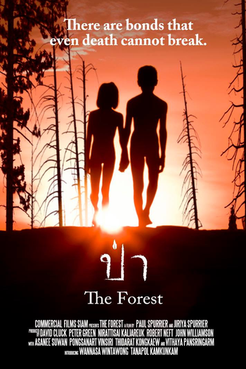 Poster de Filme The Forest (2016)