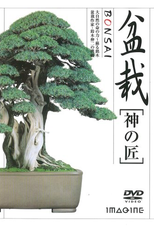 Bonsai: Works of Divinity (盆栽[神の匠])