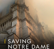 Reconstrução da Catedral de Notre Dame