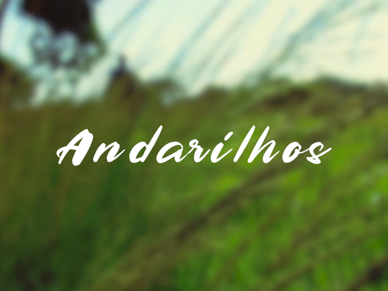 Foto 12 de Andarilhos