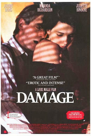 Poster 6 de Filme Perdas e Danos (1992)