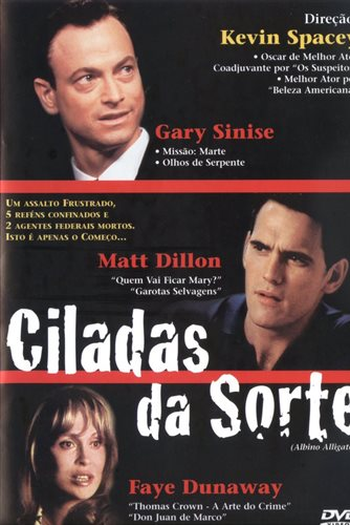  de Filme Ciladas da Sorte (1996)