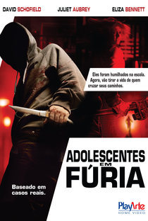 Adolescentes em Fúria - Poster / Capa / Cartaz - Oficial 2