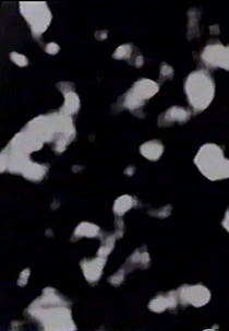 01.39411.999 (01.39411.999)