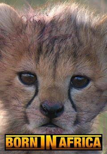 Nascidos na África: O Ciclo da Vida (Born in Africa: The Circle of Life)