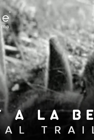 Poster 4 de Curta Joanna (2013)